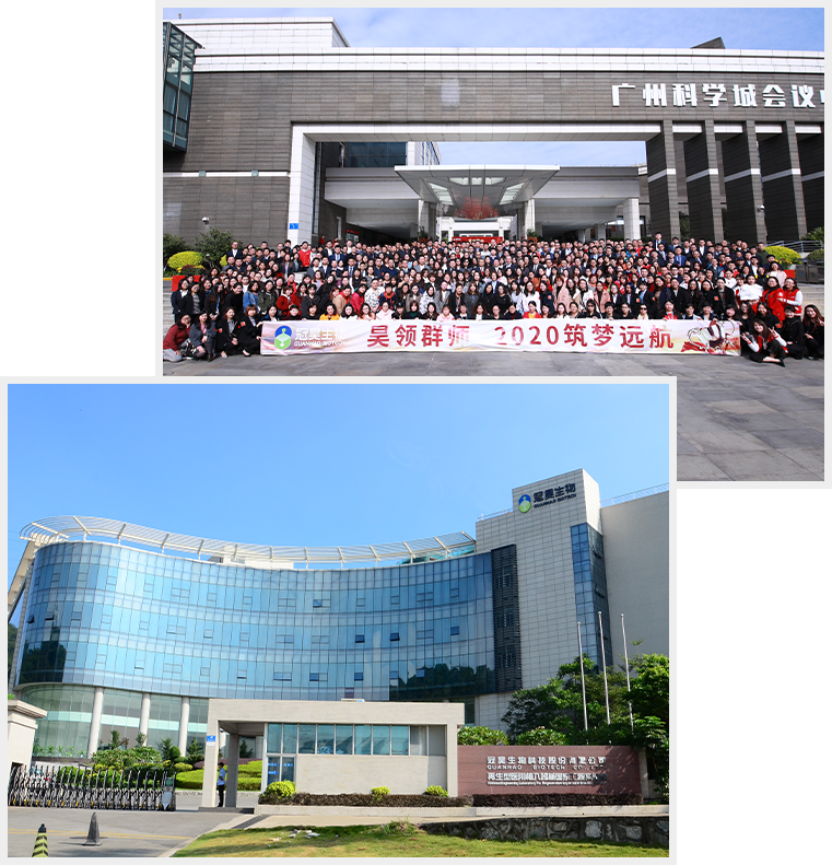 走进bg视讯大游